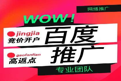 SEM外包在金融行业的应用案例分析